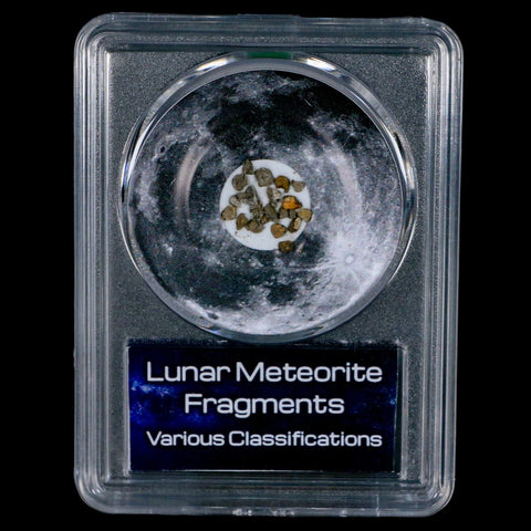 Moon Rock Lunar Meteorite Fragments Various Classifications Outer Space COA - Fossil Age Minerals