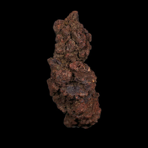3" Prehistoric Coprolite Fossil Specimen Poop Dung Miocene Age Madagascar COA
