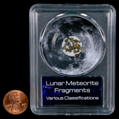 Moon Rock Lunar Meteorite Fragments Various Classifications Outer Space COA - Fossil Age Minerals