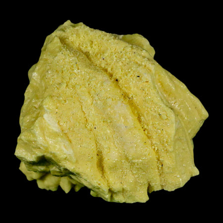 2.3" Rough Bright Yellow Sulfur Crystal Mineral Specimen From Louisiana