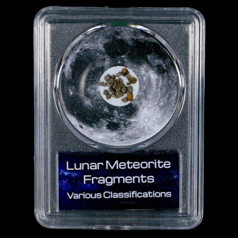 Moon Rock Lunar Meteorite Fragments Various Classifications Outer Space COA - Fossil Age Minerals