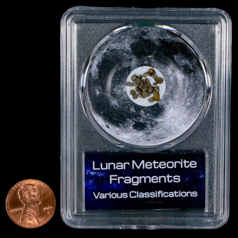 Moon Rock Lunar Meteorite Fragments Various Classifications Outer Space COA - Fossil Age Minerals