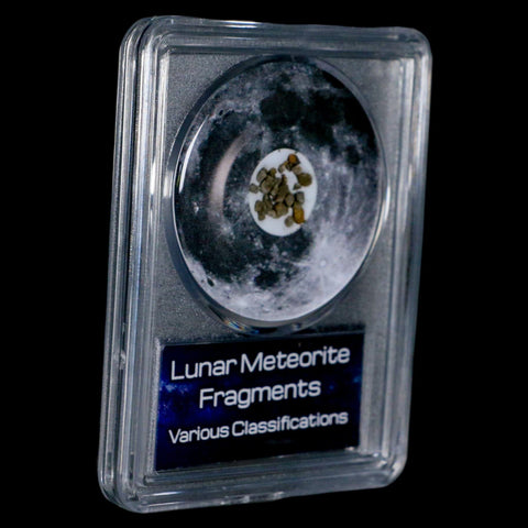 Moon Rock Lunar Meteorite Fragments Various Classifications Outer Space COA - Fossil Age Minerals