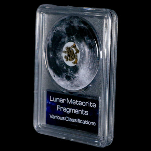 Moon Rock Lunar Meteorite Fragments Various Classifications Outer Space COA - Fossil Age Minerals