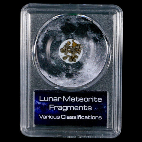 Moon Rock Lunar Meteorite Fragments Various Classifications Outer Space COA - Fossil Age Minerals
