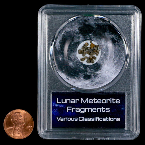 Moon Rock Lunar Meteorite Fragments Various Classifications Outer Space COA - Fossil Age Minerals