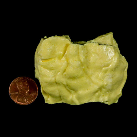 2.4" Rough Bright Yellow Sulfur Crystal Mineral Specimen From Louisiana - Fossil Age Minerals