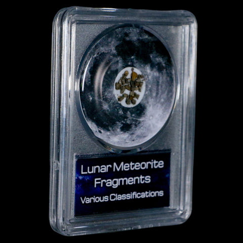 Moon Rock Lunar Meteorite Fragments Various Classifications Outer Space COA - Fossil Age Minerals