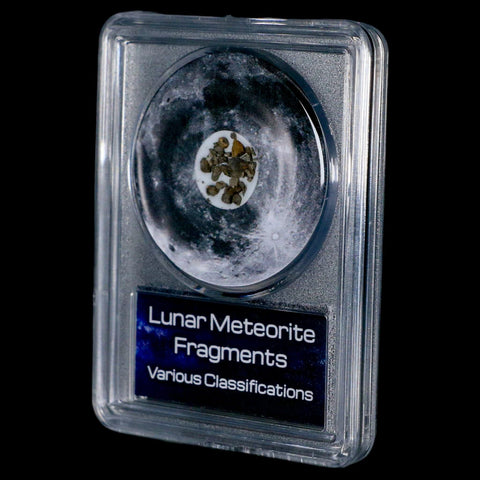 Moon Rock Lunar Meteorite Fragments Various Classifications Outer Space COA - Fossil Age Minerals