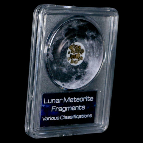 Moon Rock Lunar Meteorite Fragments Various Classifications Outer Space COA - Fossil Age Minerals