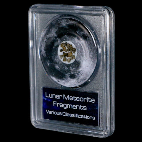 Moon Rock Lunar Meteorite Fragments Various Classifications Outer Space COA - Fossil Age Minerals