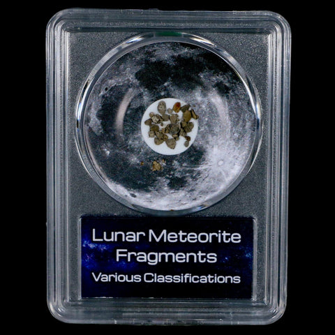 Moon Rock Lunar Meteorite Fragments Various Classifications Outer Space COA - Fossil Age Minerals