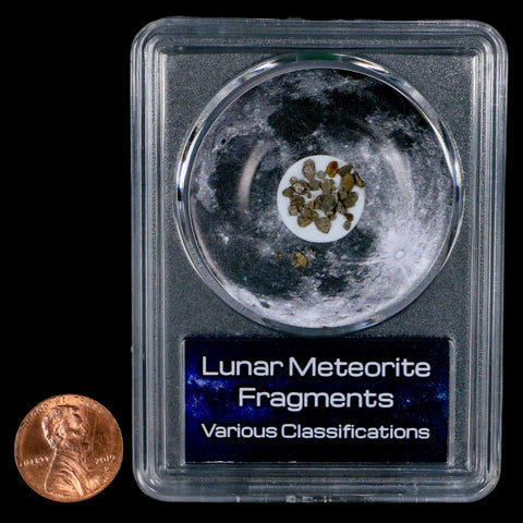 Moon Rock Lunar Meteorite Fragments Various Classifications Outer Space COA - Fossil Age Minerals