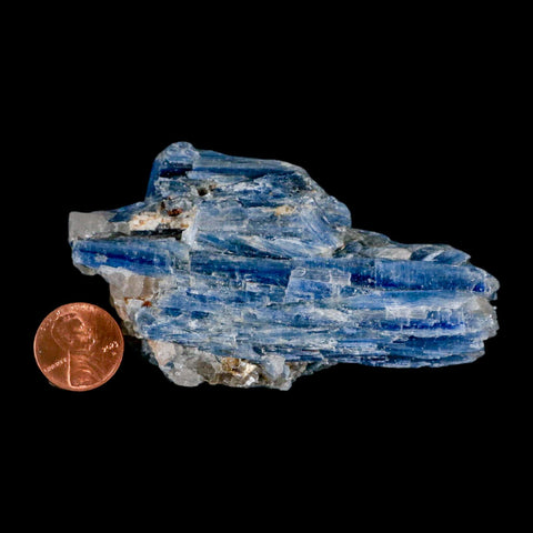 3.6" Rough Natural Sky Blue Kyanite And Quartz Crystal Mineral Specimen Brazil - Fossil Age Minerals