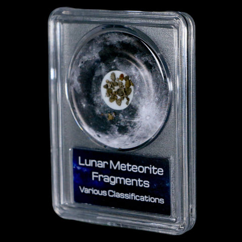 Moon Rock Lunar Meteorite Fragments Various Classifications Outer Space COA - Fossil Age Minerals