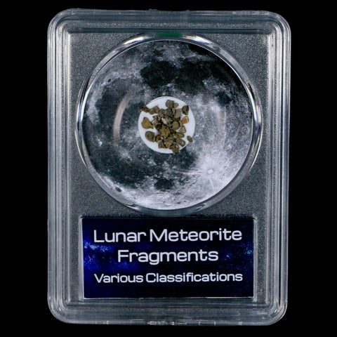 Moon Rock Lunar Meteorite Fragments Various Classifications Outer Space COA - Fossil Age Minerals