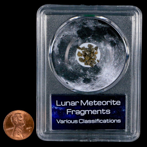 Moon Rock Lunar Meteorite Fragments Various Classifications Outer Space COA - Fossil Age Minerals
