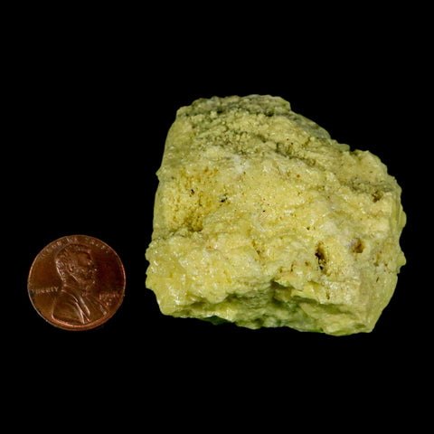 2.1" Rough Bright Yellow Sulfur Crystal Mineral Specimen From Louisiana - Fossil Age Minerals