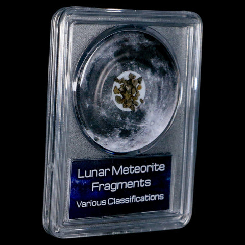 Moon Rock Lunar Meteorite Fragments Various Classifications Outer Space COA - Fossil Age Minerals