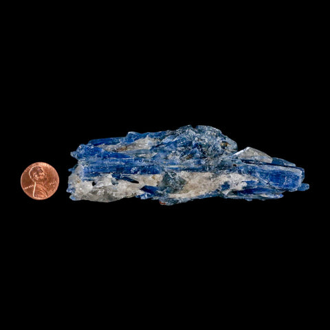 4.7" Rough Natural Sky Blue Kyanite And Quartz Crystal Mineral Specimen Brazil - Fossil Age Minerals