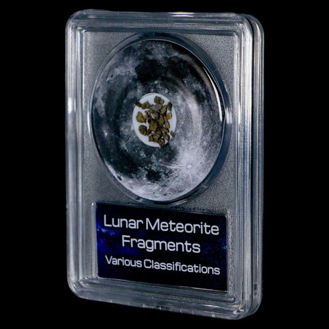 Moon Rock Lunar Meteorite Fragments Various Classifications Outer Space COA - Fossil Age Minerals