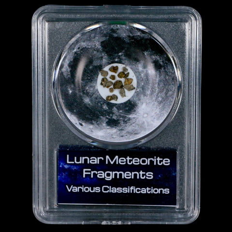 Moon Rock Lunar Meteorite Fragments Various Classifications Outer Space COA - Fossil Age Minerals