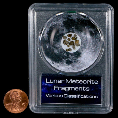 Moon Rock Lunar Meteorite Fragments Various Classifications Outer Space COA - Fossil Age Minerals