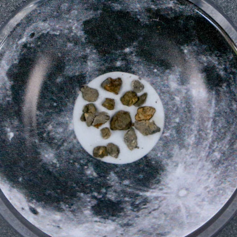 Moon Rock Lunar Meteorite Fragments Various Classifications Outer Space COA - Fossil Age Minerals