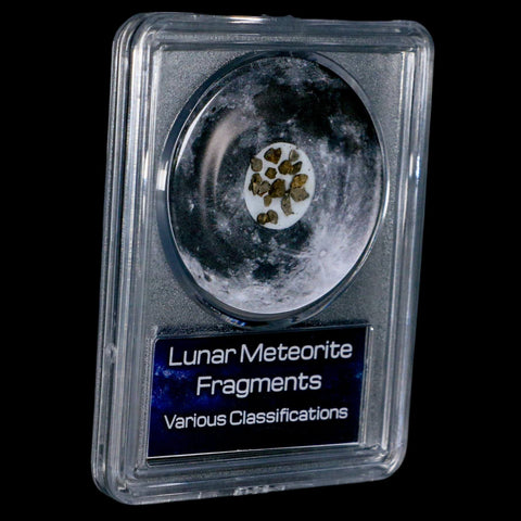Moon Rock Lunar Meteorite Fragments Various Classifications Outer Space COA - Fossil Age Minerals