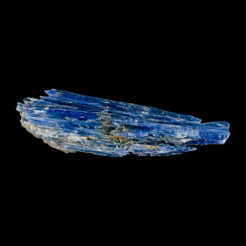 6.1" Rough Natural Sky Blue Kyanite And Quartz Crystal Mineral Specimen Brazil - Fossil Age Minerals