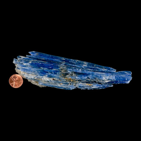 6.1" Rough Natural Sky Blue Kyanite And Quartz Crystal Mineral Specimen Brazil - Fossil Age Minerals