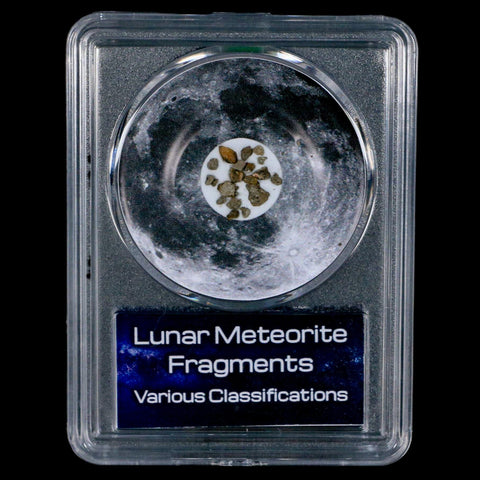Moon Rock Lunar Meteorite Fragments Various Classifications Outer Space COA - Fossil Age Minerals