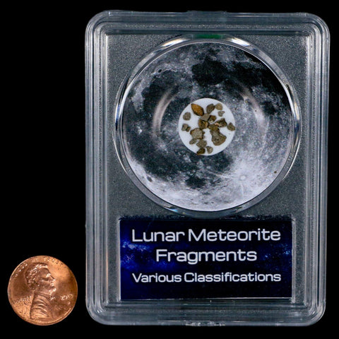 Moon Rock Lunar Meteorite Fragments Various Classifications Outer Space COA - Fossil Age Minerals