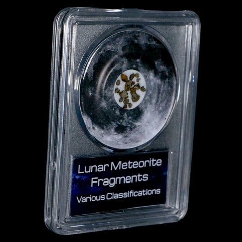 Moon Rock Lunar Meteorite Fragments Various Classifications Outer Space COA - Fossil Age Minerals
