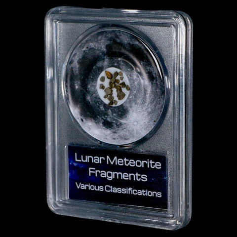 Moon Rock Lunar Meteorite Fragments Various Classifications Outer Space COA - Fossil Age Minerals