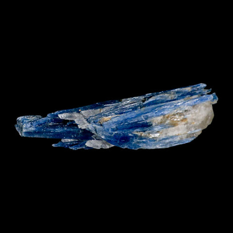 6.1" Rough Natural Sky Blue Kyanite And Quartz Crystal Mineral Specimen Brazil - Fossil Age Minerals