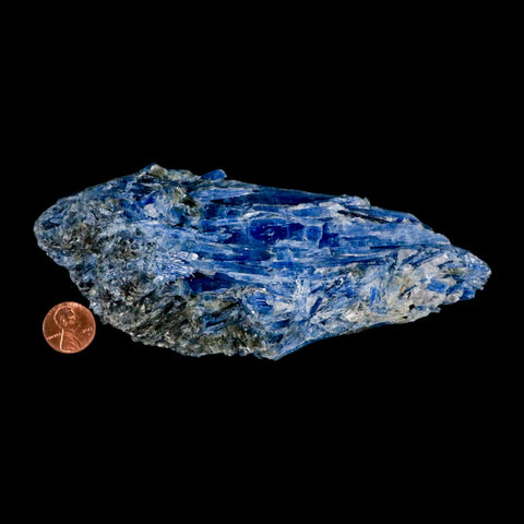 6.2" Rough Natural Sky Blue Kyanite And Quartz Crystal Mineral Specimen Brazil - Fossil Age Minerals