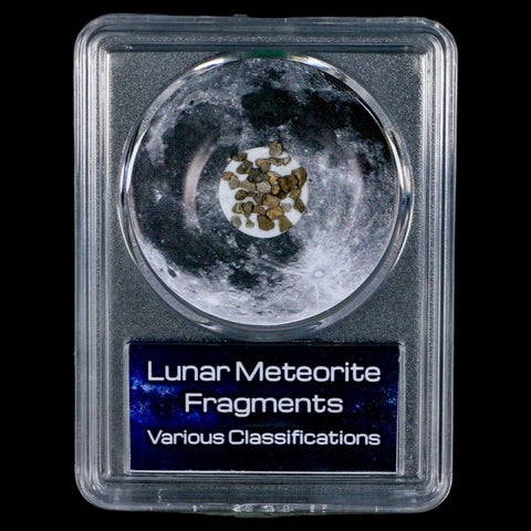 Moon Rock Lunar Meteorite Fragments Various Classifications Outer Space COA - Fossil Age Minerals