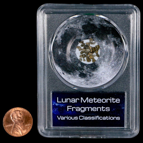 Moon Rock Lunar Meteorite Fragments Various Classifications Outer Space COA - Fossil Age Minerals