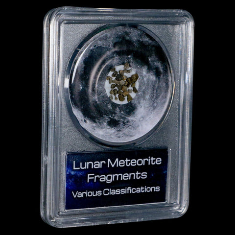 Moon Rock Lunar Meteorite Fragments Various Classifications Outer Space COA - Fossil Age Minerals