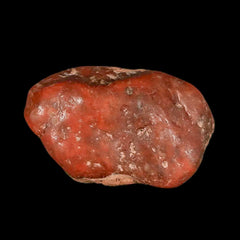 Gastrolith Stone Collection