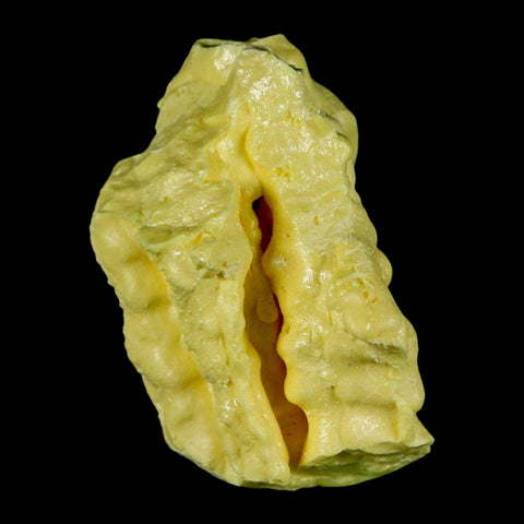 2.5" Rough Bright Yellow Sulfur Crystal Mineral Specimen From Louisiana - Fossil Age Minerals