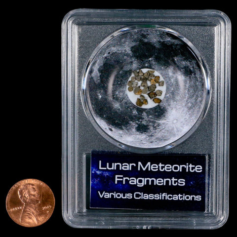 Moon Rock Lunar Meteorite Fragments Various Classifications Outer Space COA - Fossil Age Minerals