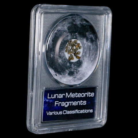 Moon Rock Lunar Meteorite Fragments Various Classifications Outer Space COA - Fossil Age Minerals