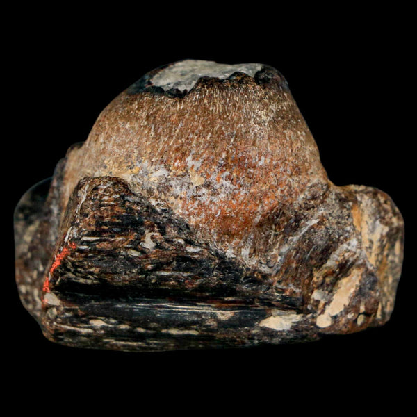 1.5