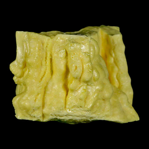 2.5" Rough Bright Yellow Sulfur Crystal Mineral Specimen From Louisiana - Fossil Age Minerals