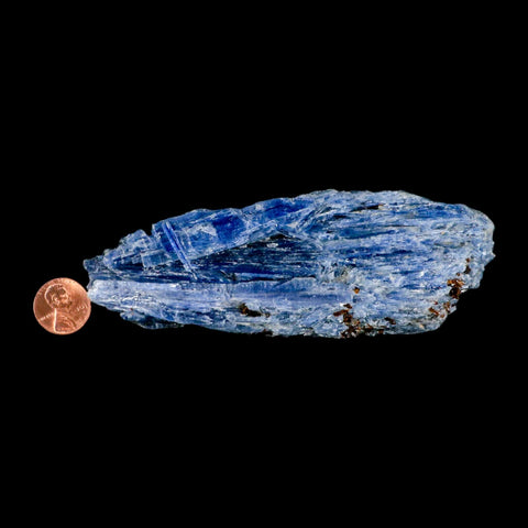 5.2" Rough Natural Sky Blue Kyanite And Quartz Crystal Mineral Specimen Brazil - Fossil Age Minerals
