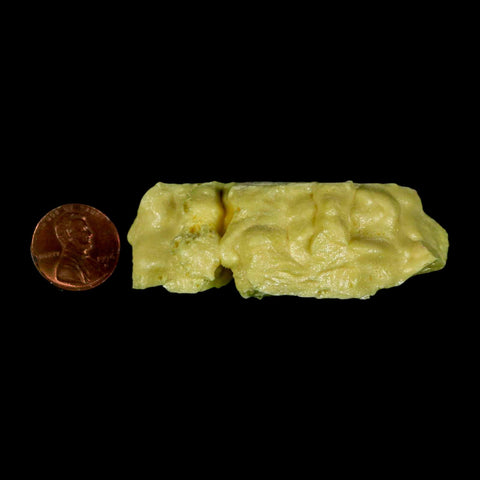 2.7" Rough Bright Yellow Sulfur Crystal Mineral Specimen From Louisiana - Fossil Age Minerals