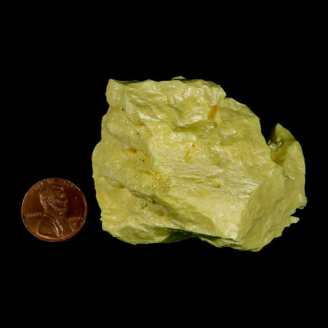 2.5" Rough Bright Yellow Sulfur Crystal Mineral Specimen From Louisiana - Fossil Age Minerals