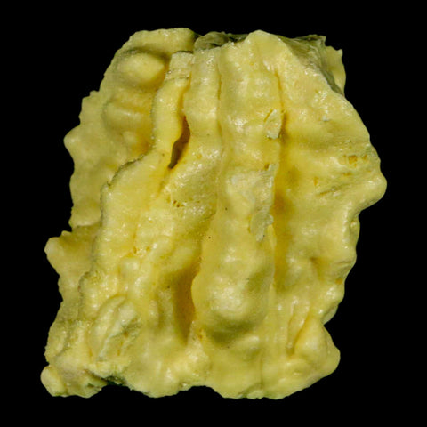 2.3" Rough Bright Yellow Sulfur Crystal Mineral Specimen From Louisiana - Fossil Age Minerals